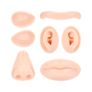 A Pound of Flesh - Ersatzteile für Tattoo-, PMU- und Piercingkopf - Fitzpatrick-Ton 2