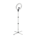 Daylight Aura Ring Lampe