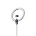Daylight Aura Ring Lampe