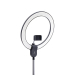 Daylight Aura Ring Lampe