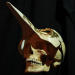 Boris Tattoo Hungary - „Skull References