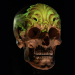Boris Tattoo Hungary - „Skull References