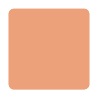 Eternal Ink Portrait Nude Blush 30ml (1oz)