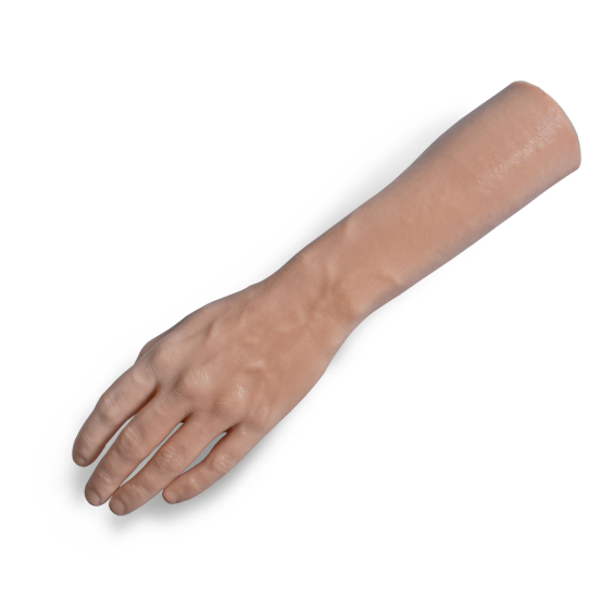 SALE - A Pound of Flesh - linke Hand mit Unterarm